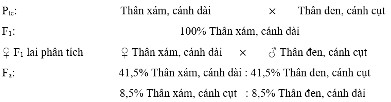 Hình ảnh minh họa SGK Sinh học 12