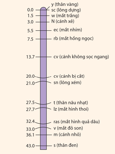 Hình ảnh minh họa SGK Sinh học 12