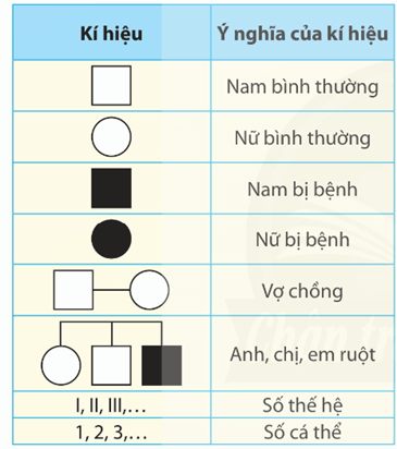Hình ảnh minh họa SGK Sinh học 12