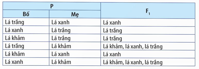Hình ảnh minh họa SGK Sinh học 12