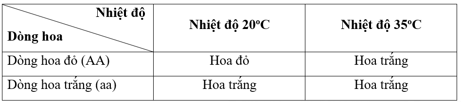 Hình ảnh minh họa SGK Sinh học 12