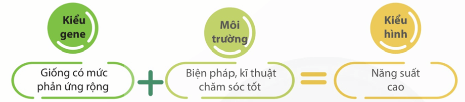 Hình ảnh minh họa SGK Sinh học 12