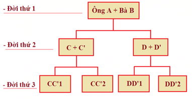 Hình ảnh minh họa SGK Sinh học 12