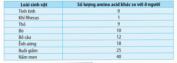 Hình ảnh minh họa SGK Sinh học 12