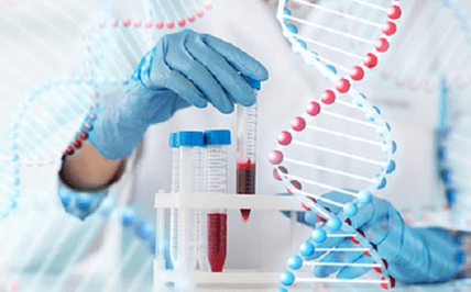 Hình ảnh minh họa SGK Sinh học 12
