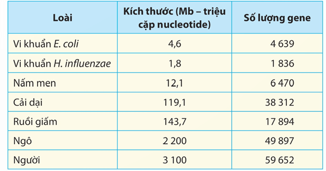 Hình ảnh minh họa SGK Sinh học 12