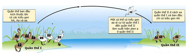 Hình ảnh minh họa SGK Sinh học 12