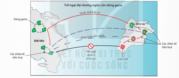 Hình ảnh minh họa SGK Sinh học 12
