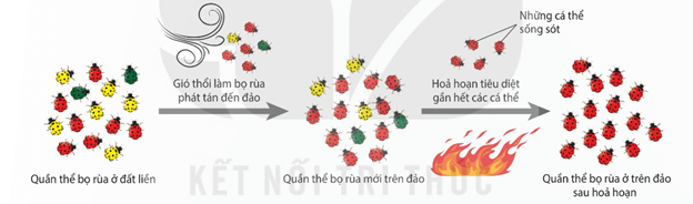 Hình ảnh minh họa SGK Sinh học 12
