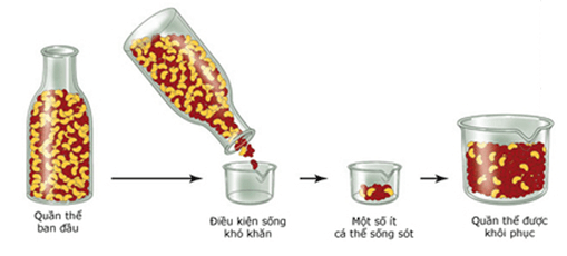 Hình ảnh minh họa SGK Sinh học 12