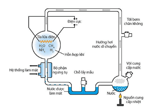 Hình ảnh minh họa SGK Sinh học 12