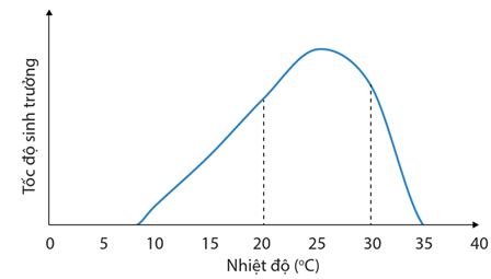 Hình ảnh minh họa SGK Sinh học 12