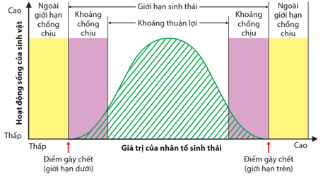 Hình ảnh minh họa SGK Sinh học 12