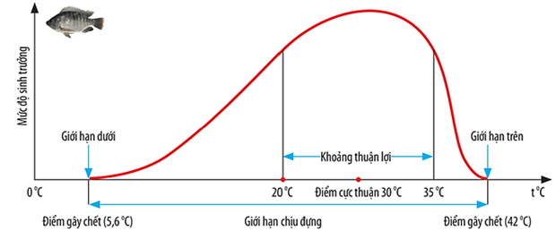 Hình ảnh minh họa SGK Sinh học 12