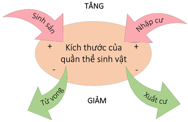 Hình ảnh minh họa SGK Sinh học 12