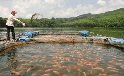 Hình ảnh minh họa SGK Sinh học 12
