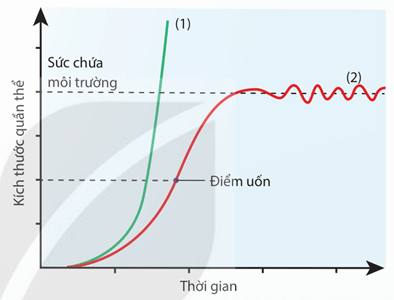 Hình ảnh minh họa SGK Sinh học 12