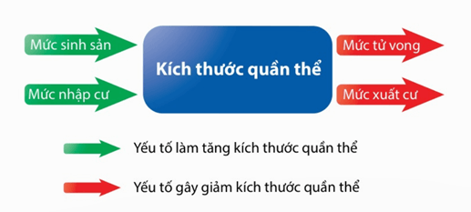 Hình ảnh minh họa SGK Sinh học 12