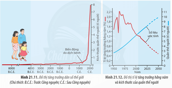 Hình ảnh minh họa SGK Sinh học 12