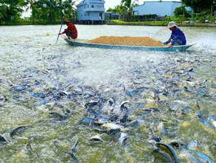 Hình ảnh minh họa SGK Sinh học 12