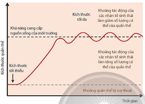 Hình ảnh minh họa SGK Sinh học 12