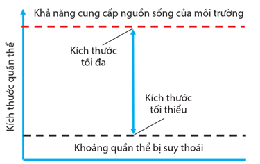 Hình ảnh minh họa SGK Sinh học 12