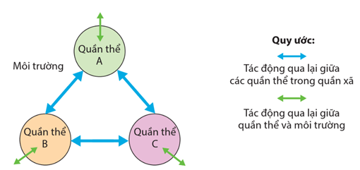 Hình ảnh minh họa SGK Sinh học 12