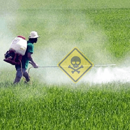 Hình ảnh minh họa SGK Sinh học 12