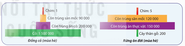 Hình ảnh minh họa SGK Sinh học 12