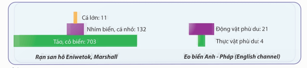 Hình ảnh minh họa SGK Sinh học 12