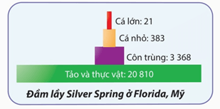 Hình ảnh minh họa SGK Sinh học 12