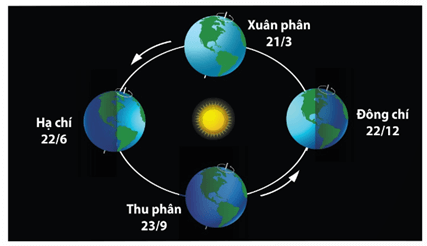 Hình ảnh minh họa SGK Sinh học 12