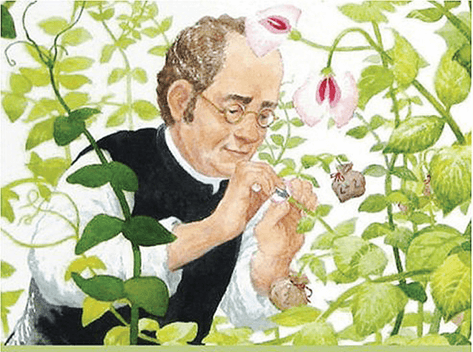 Hình ảnh minh họa SGK Sinh học 12