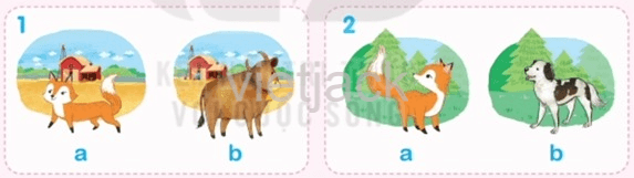 Tiếng Anh 2 Bài 19 - Unit 6 · Lesson 2 - Hình 2