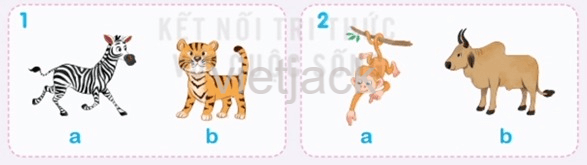 Tiếng Anh 2 Bài 33 - Unit 10 · Lesson 2 - Hình 2