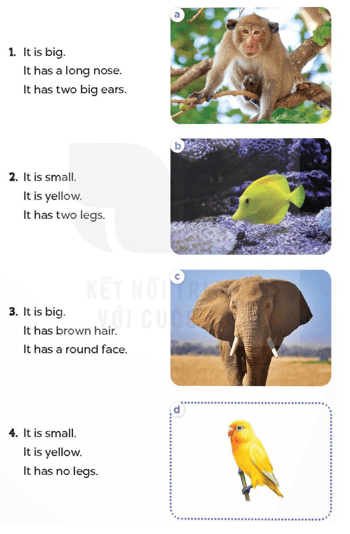 Tiếng Anh 4 Bài 69 - Extension activities 3 - Hình 3