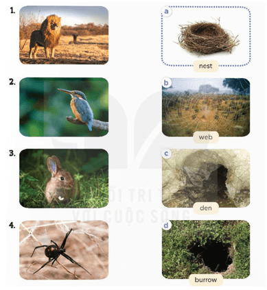 Tiếng Anh 4 Bài 71 - Extension activities 4 - Hình 1