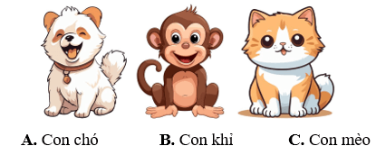 Toán 1 Bài 15 - Vị trí, định hướng trong không gian - Hình 2