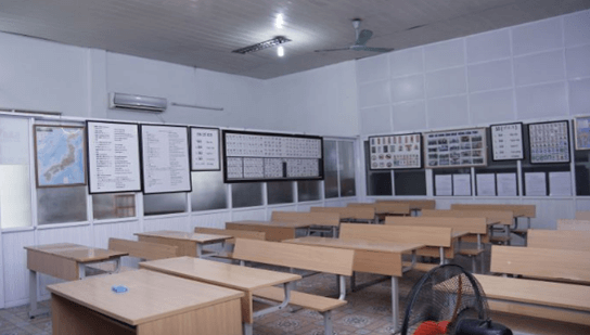 Hình ảnh minh họa SGK Toán 11 Bài 13