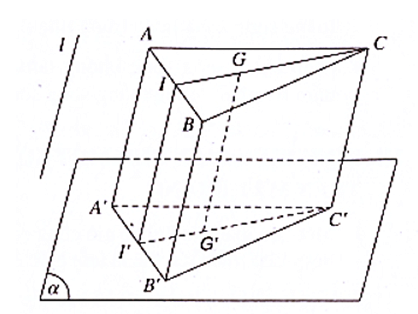 Hình ảnh minh họa SGK Toán 11 Bài 14