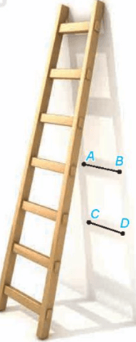 Hình ảnh minh họa SGK Toán 11 Bài 14