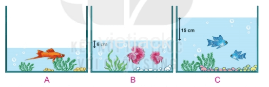 Toán 2 Bài 21 - Luyện tập chung - Hình 8