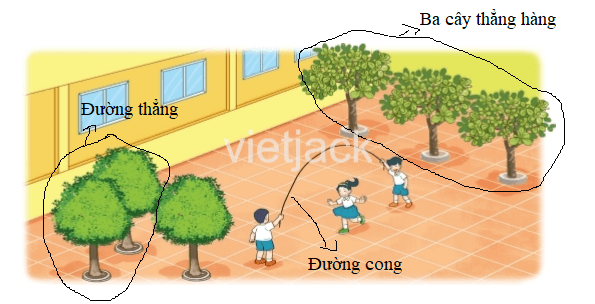 Toán 2 Bài 25 - Điểm, đoạn thẳng, đường thẳng, đường cong, ba điểm thẳng hàng - Hình 9