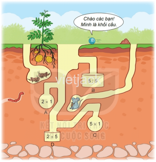 Toán 2 Bài 46 - Khối trụ, khối cầu - Hình 9