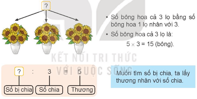 Toán 3 Bài 13 - Tìm thành phần trong phép nhân, phép chia - Hình 6