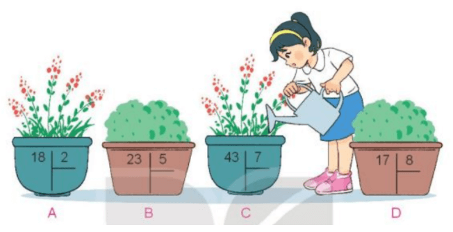 Toán 3 Bài 25 - Phép chia hết, phép chia có dư - Hình 5