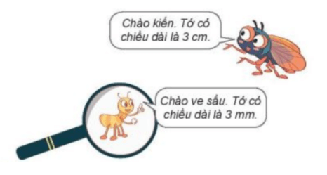 Toán 3 Bài 30 - Mi - li - mét - Hình 3