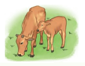Toán 3 Bài 40 - Luyện tập chung - Hình 4