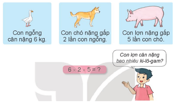 Toán 3 Bài 40 - Luyện tập chung - Hình 8