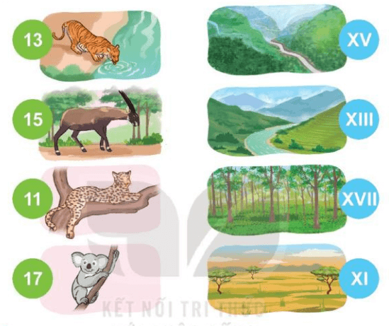 Toán 3 Bài 47 - Làm quen với chữ số La Mã - Hình 2